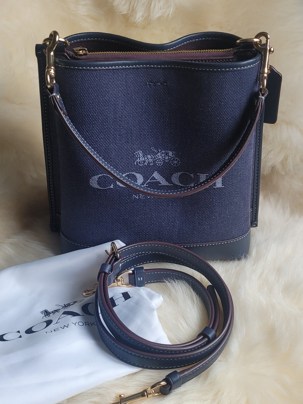 Coach Mollie Bucket Bag 22